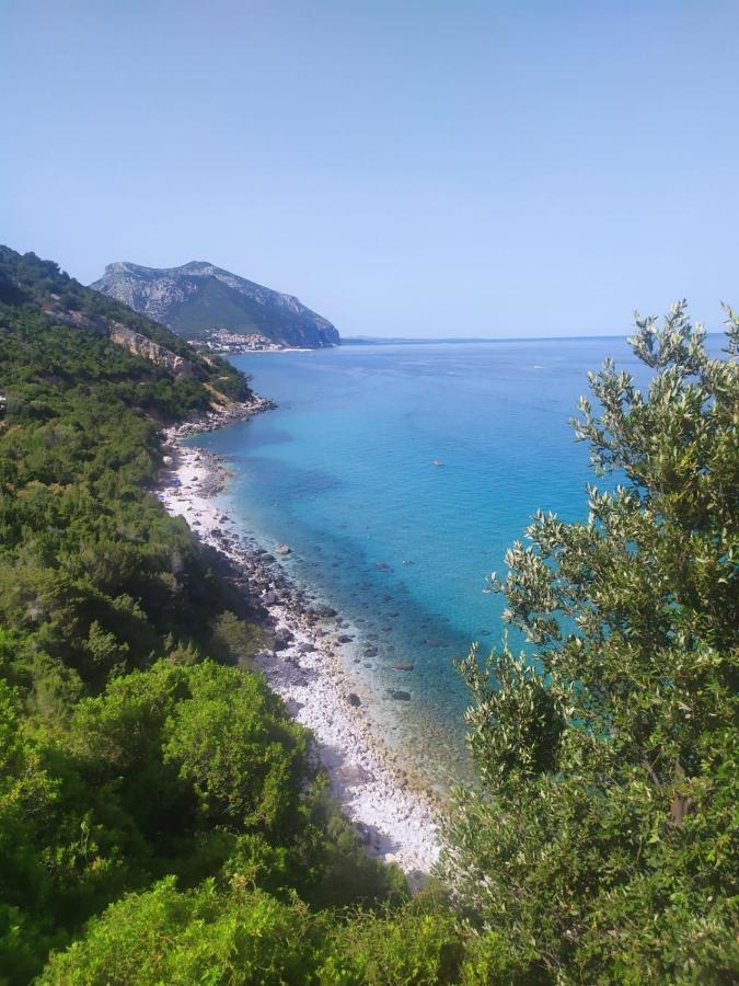Appartamento A 50 Mt Dal Mare Cala Gonone Bagian luar foto