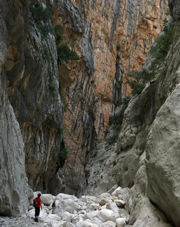 Appartamento A 50 Mt Dal Mare Cala Gonone Bagian luar foto