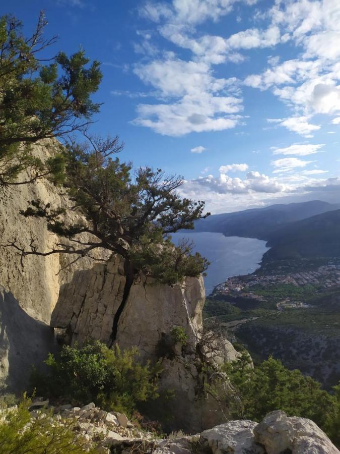Appartamento A 50 Mt Dal Mare Cala Gonone Bagian luar foto